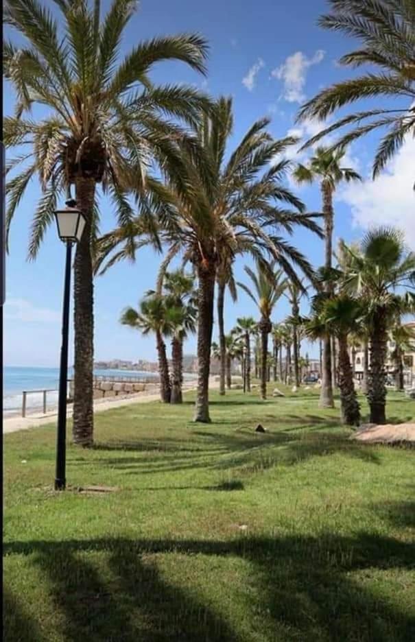 Apartamento Magic World Nueva Marina D'Or 2 Dormitorios Edificio Torremar オロペサ・デル・マール 部屋 写真